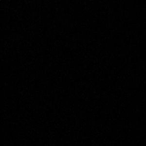 Meet your Posher, Shira